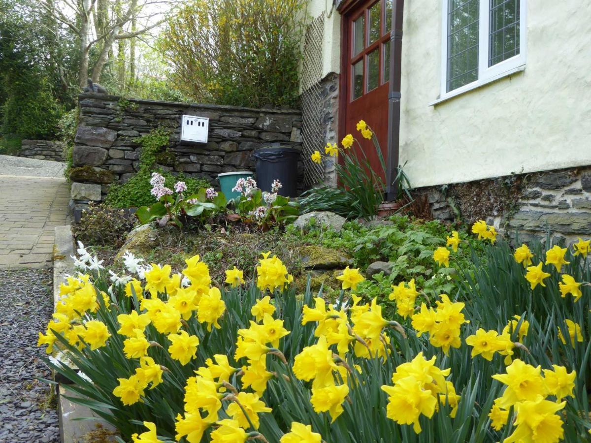 Hafannedd Villa Corwen Exterior photo